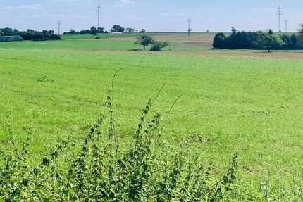 Grundstück Frankfurt am Main - 4.200.000&euro; | Angebot:23542308