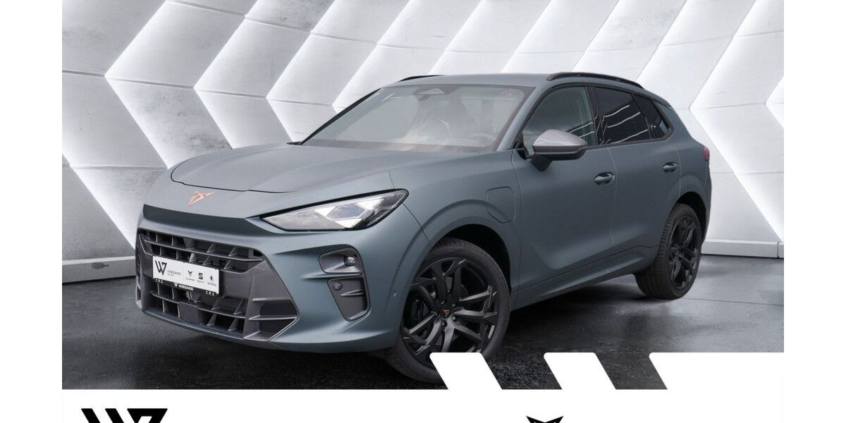 Cupra Terramar 4.500 km 47.929 &euro; Gelnhausen 63571