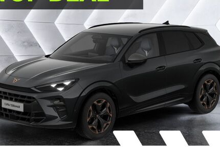 Cupra Terramar 6.000 km 40.924 &euro; Büdingen-Düdelsheim 63654