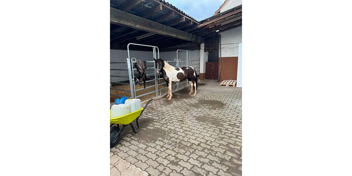 Bauernhaus, Landhaus Limeshain - 4 Zimmer, 112 m&sup2;, 439.000&euro; | Angebot:26578037