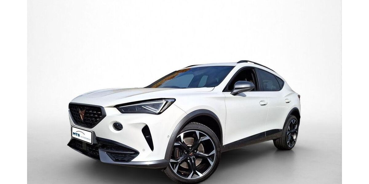 Cupra Formentor 41.109 km 31.650 &euro; Friedberg 61169