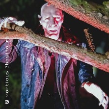 Nosferatus Auferstehung 11.04.2026 U-Bahn-Haltestelle Niddapark, Treppe nach unten