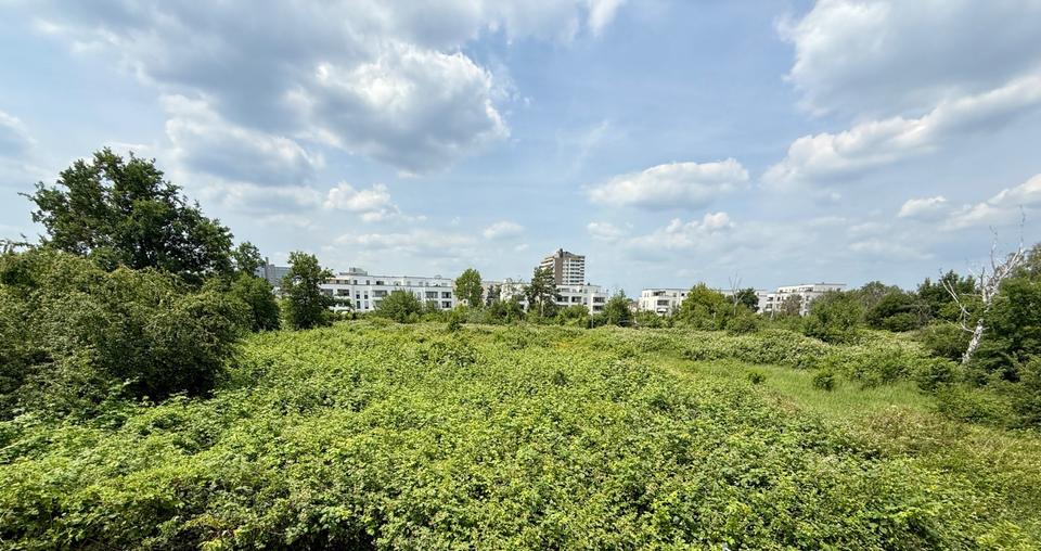 Maisonettenwohnung Neu-Isenburg Isenburg - 4 Zimmer, 116 m&sup2;, 780.000&euro; | Angebot:25944124