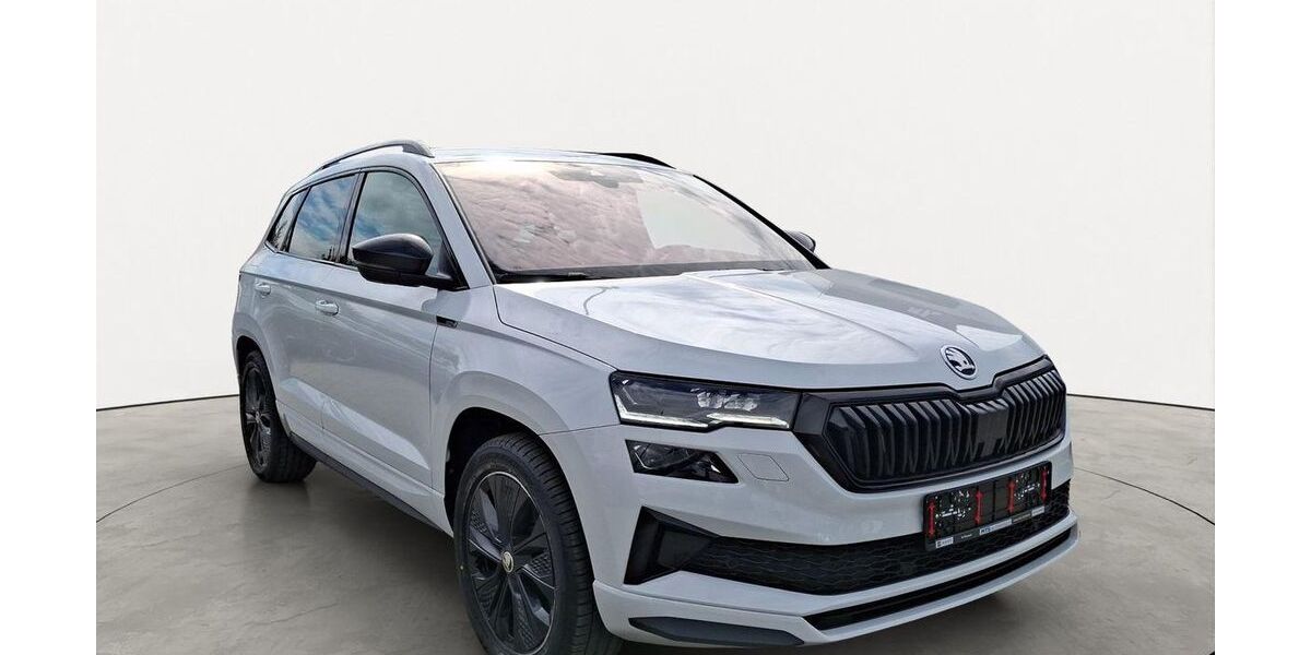 Skoda Karoq 75.834 km 29.650 &euro; Friedberg 61169