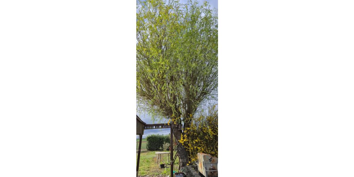 Einfamilienhaus Friedberg (Hessen) - 40.000&euro; | Angebot:26035142