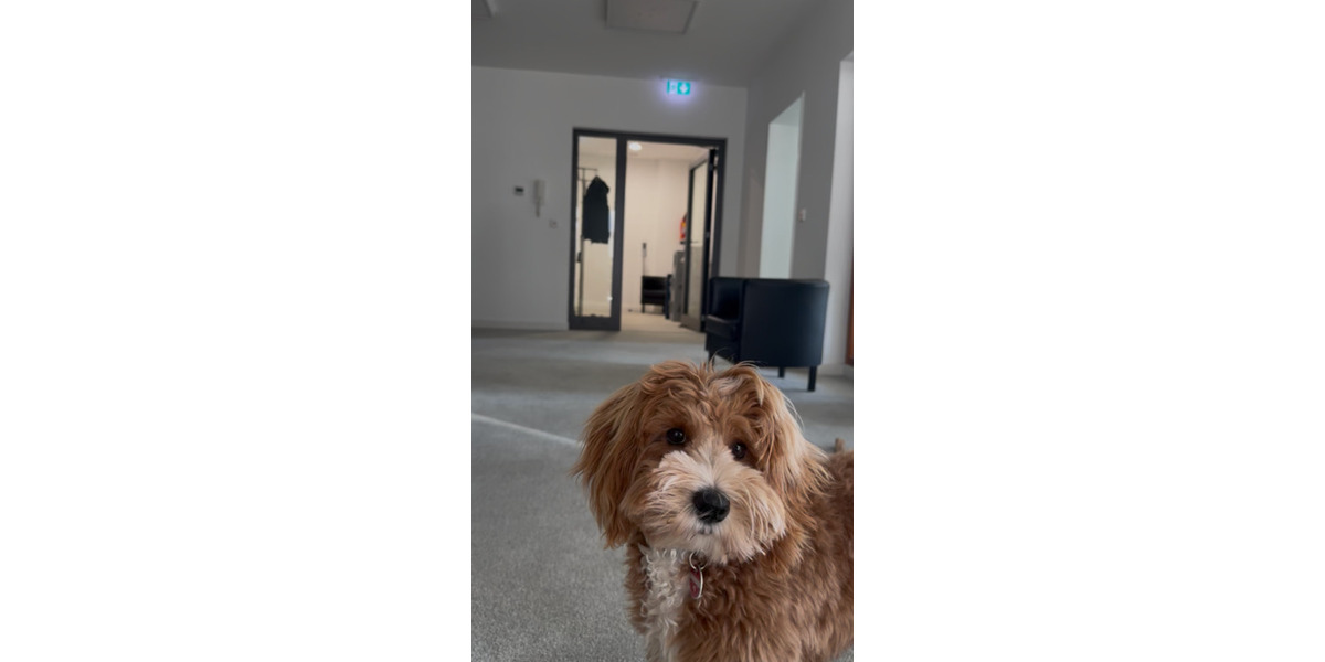 Gewerbeobjekt Frankfurt am Main Innenstadt - 250&euro; | Angebot:25976674