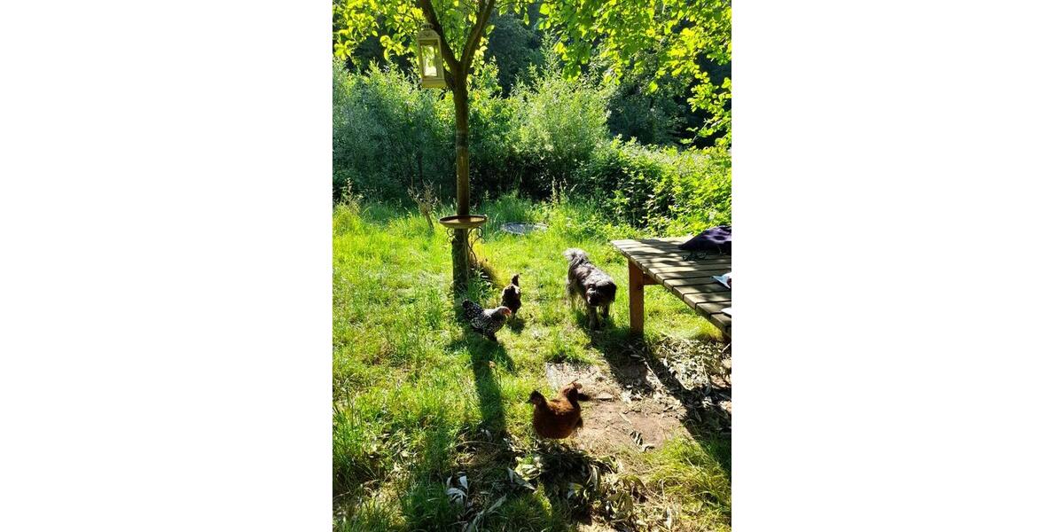 Einfamilienhaus Büdingen - 8 Zimmer, 174 m&sup2;, 375.000&euro; | Angebot:25394715