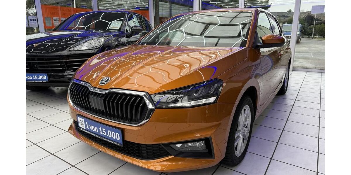 Skoda Fabia 15.950 km 17.490 &euro; Groß-Umstadt 64823