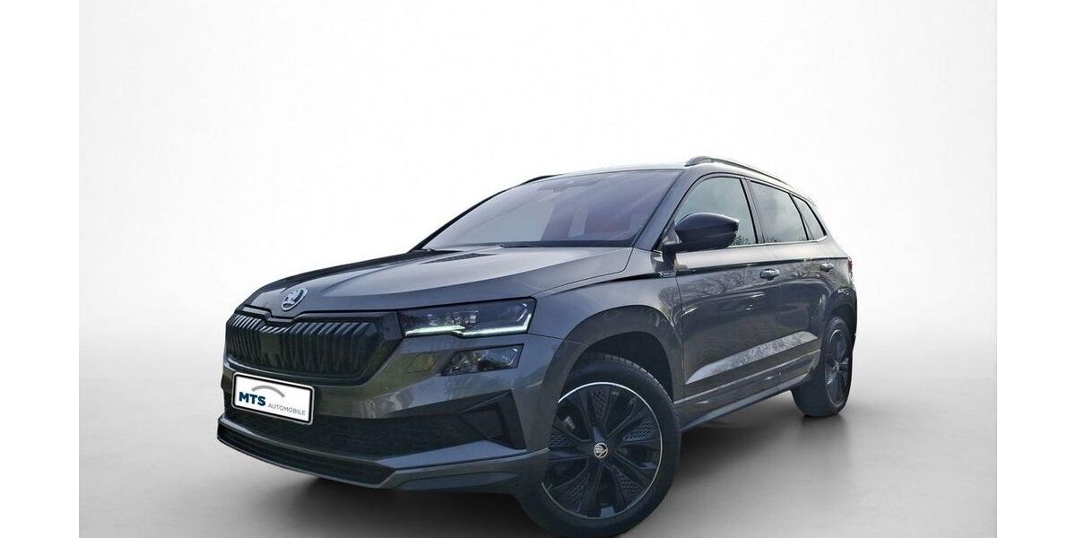 Skoda Karoq 29.527 km 37.150 &euro; Friedberg 61169