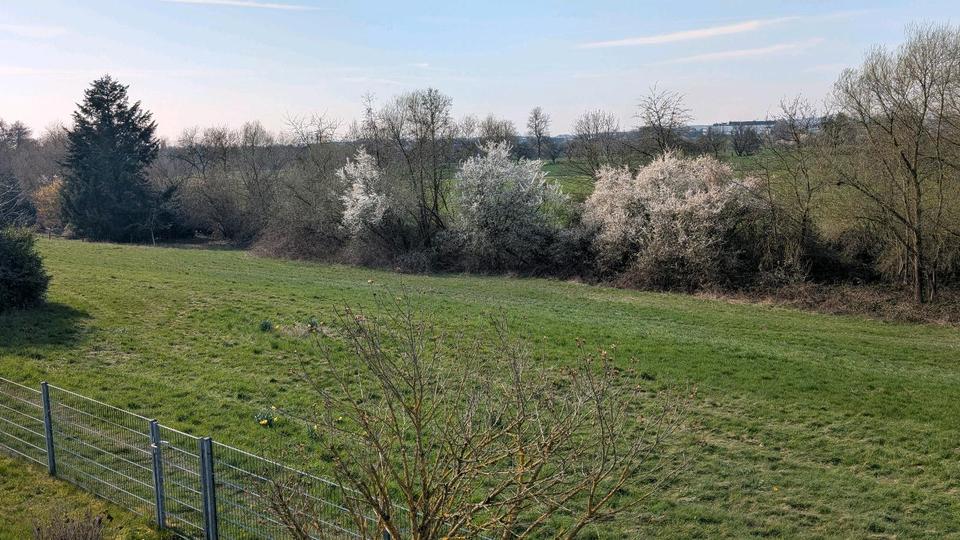 Einfamilienhaus Kronberg im Taunus - 6 Zimmer, 148 m&sup2;, 770.000&euro; | Angebot:25882436