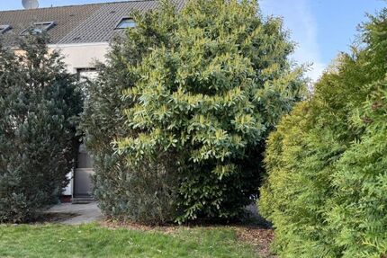 REH Einfamilienhaus mit Terasse, Garten, Gartenhaus in TOP-Lage: ruhig, sonnig, grün - Haus Dietzenbach | Angebot:27609512
