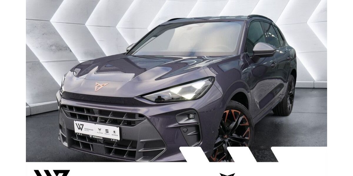 Cupra Terramar 27.000 km 42.458 &euro; Gelnhausen 63571