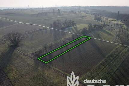 Grundstück Frankfurt am Main Bergen-Enkheim - 11.900&euro; | Angebot:24717443