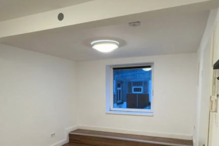 Wohnung Frankfurt am Main / Höchst Höchst - 1 Zimmer, 16 m&sup2;, 370&euro; | Angebot:25423382