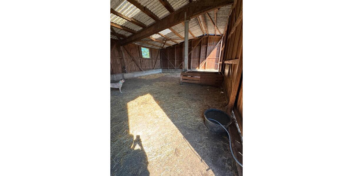 Bauernhaus, Landhaus Limeshain - 4 Zimmer, 112 m&sup2;, 439.000&euro; | Angebot:26578037