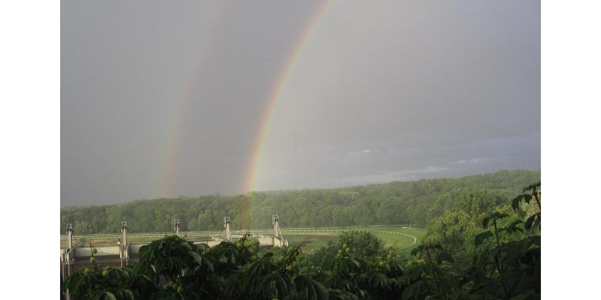 Etagenwohnung Frankfurt am Main Niederrad - 2 Zimmer, 60 m&sup2;, 1.050&euro; | Angebot:23793797