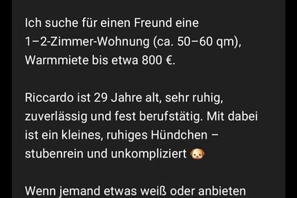 Wohnung Kleinostheim - 2 Zimmer, 50 m&sup2;, 800&euro; | Angebot:25071783