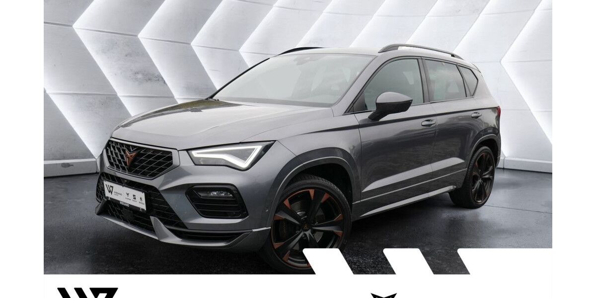Cupra Ateca 78.889 km 26.691 &euro; Gelnhausen 63571