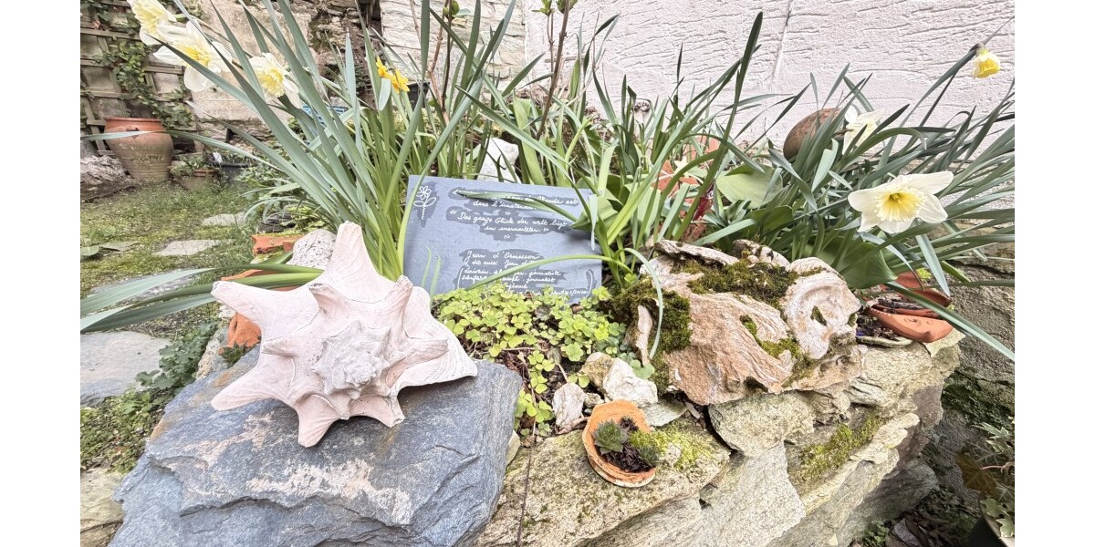 *Charmante Wohnungsalternative - Kleinod im Herzen von Kronberg* - Etagenwohnung Kronberg | Angebot:25853528