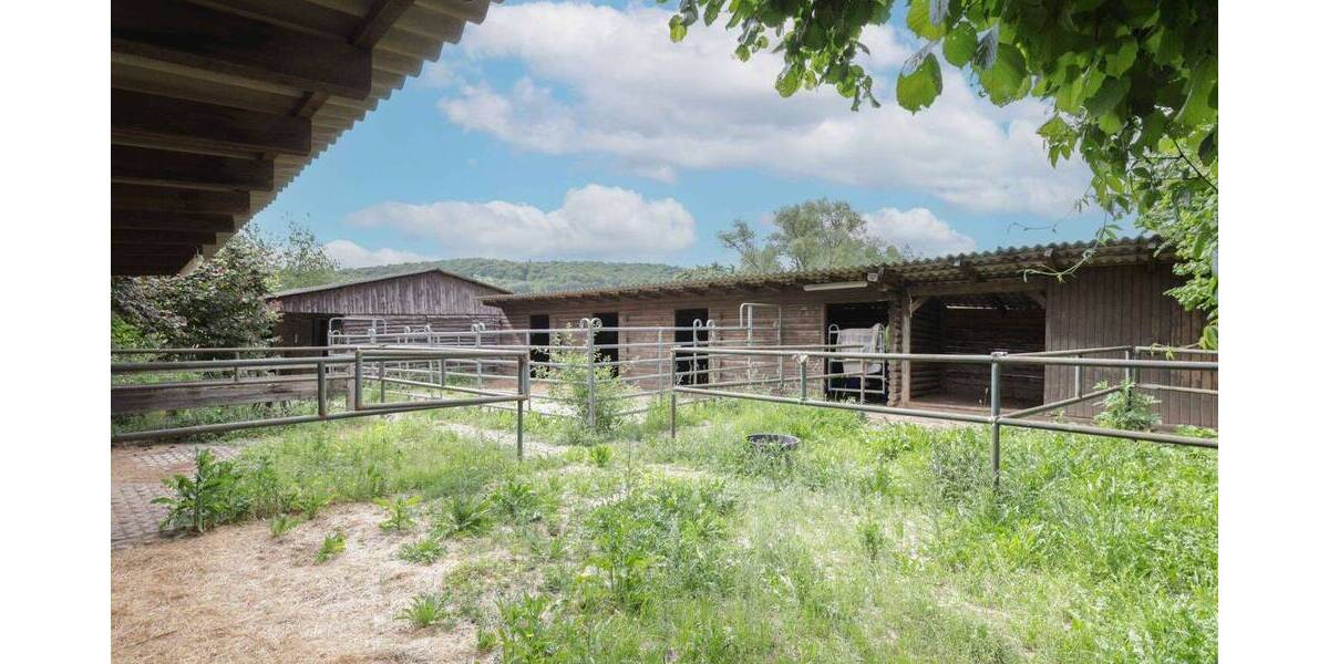 Mehrfamilienhaus, Wohnhaus Büdingen Calbach - 9 Zimmer, 495.000&euro; | Angebot:26930071