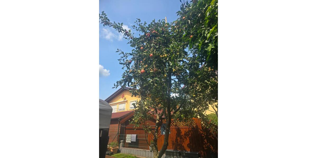 Einfamilienhaus Büdingen - 7 Zimmer, 163 m&sup2;, 650.000&euro; | Angebot:25900348