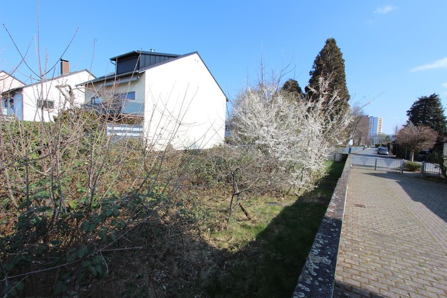 albero:) XL-Platz für die bessere Hälfte - Grundstück Dietzenbach | Angebot:25961594