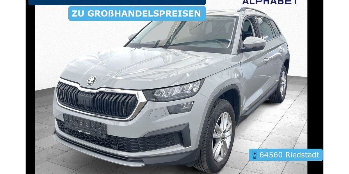 Skoda Kodiaq 181.345 km 20.307 &euro; Frankfurt 60596