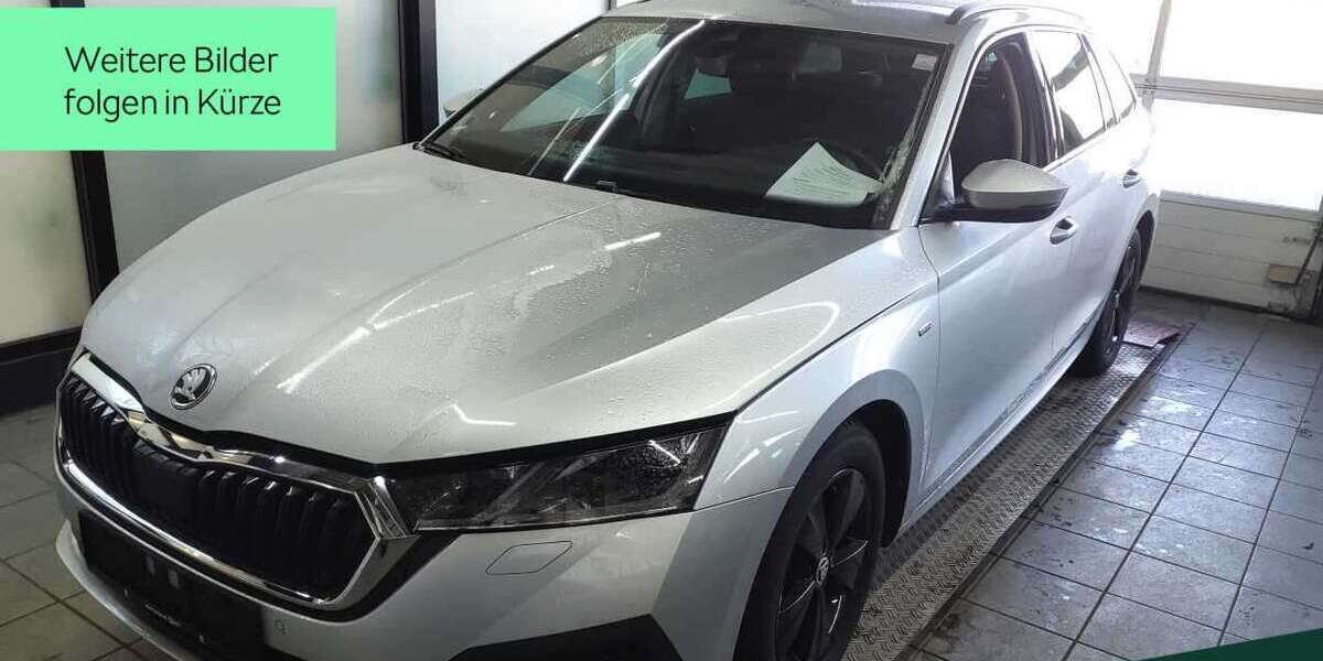 Skoda Octavia 49.700 km 24.988 &euro; Mühlheim a. Main 63165