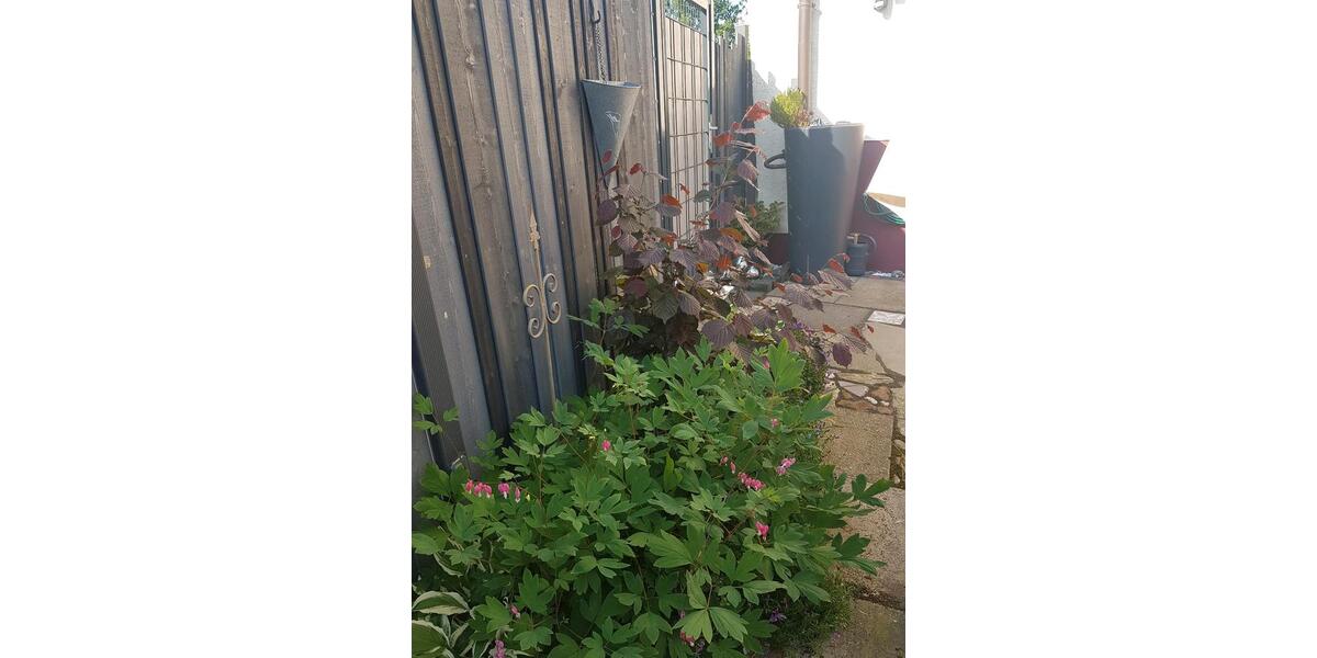 Dachgeschoßwohnung Bad Homburg vor der Höhe Gonzenheim - 2 Zimmer, 52 m&sup2;, 1.250&euro; | Angebot:25885795