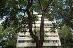 Etagenwohnung Frankfurt am Main Eschersheim - 4 Zimmer, 100 m&sup2;, 410.000&euro; | Angebot:26868811