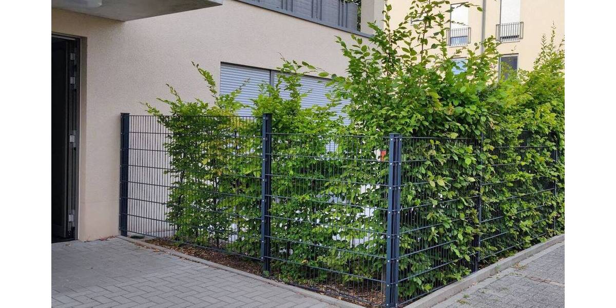 Etagenwohnung Frankfurt (Main) - Rödelheim Rödelheim - 3 Zimmer, 88 m&sup2;, 1.650&euro; | Angebot:26821985