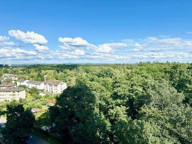 Etagenwohnung Offenbach Buchrain - 1 Zimmer, 37 m&sup2;, 600&euro; | Angebot:26641558