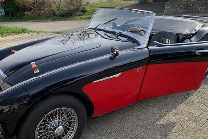Austin Healey Andere 10.500 km 64.000 &euro; Neu-Isenburg 63263