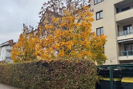 Wohnung Offenbach am Main Bieberer Berg - 4 Zimmer, 84 m&sup2;, 354.000&euro; | Angebot:25539666