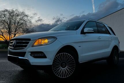 Mercedes-Benz ML 250 239.900 km 12.000 &euro; Frankfurt am Main 60486
