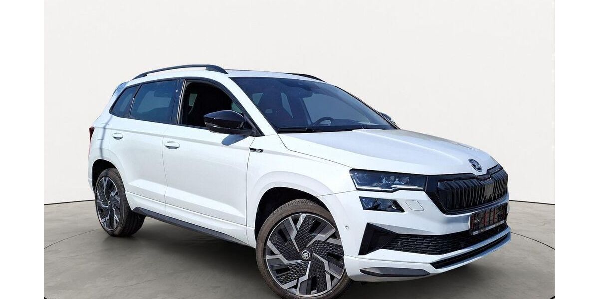 Skoda Karoq 107.160 km 24.650 &euro; Friedberg 61169