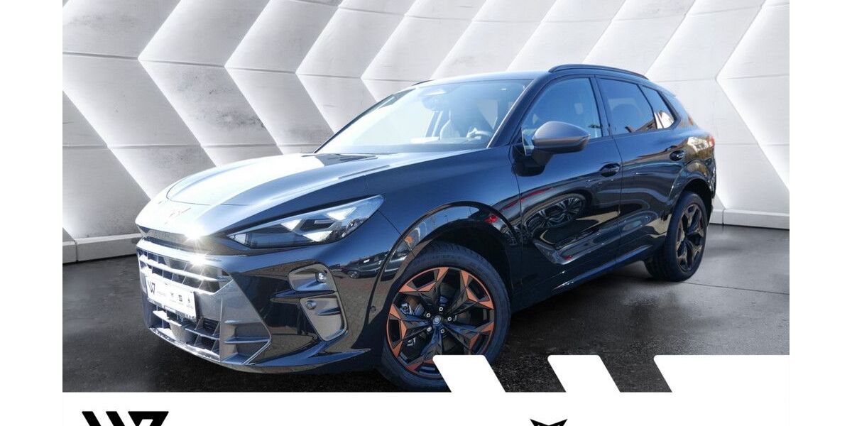 Cupra Terramar 18.000 km 37.485 &euro; Büdingen-Düdelsheim 63654