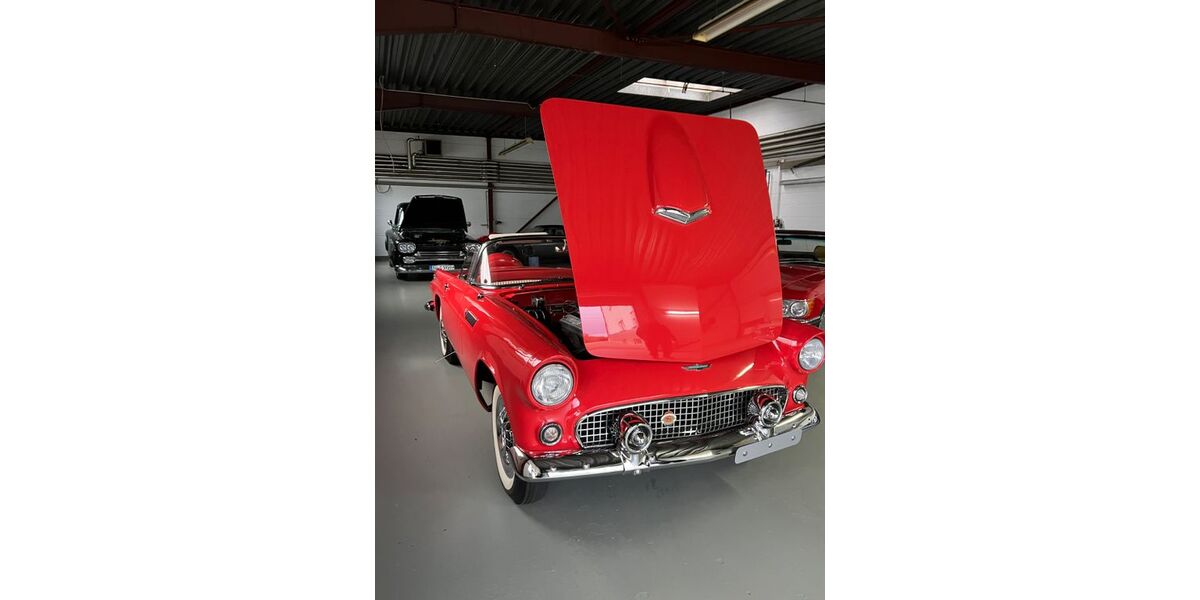 Ford Thunderbird 130.000 km 76.000 &euro; Rödermark 63322