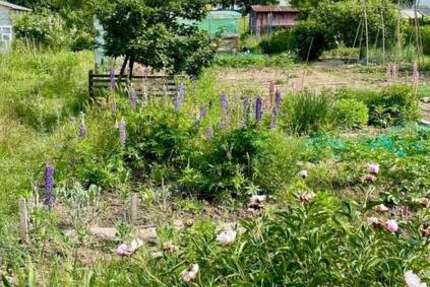 Grundstück Frankfurt am Main Bonames - 13.500&euro; | Angebot:23434072