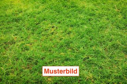 Grundstück Bad Nauheim - 299.000&euro; | Angebot:26625285