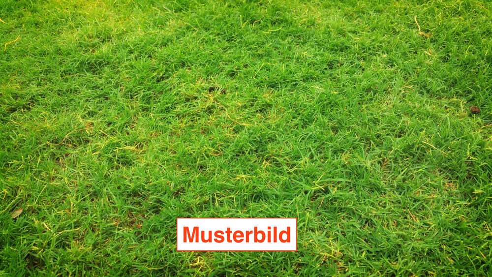 Grundstück Bad Nauheim - 299.000&euro; | Angebot:26625285
