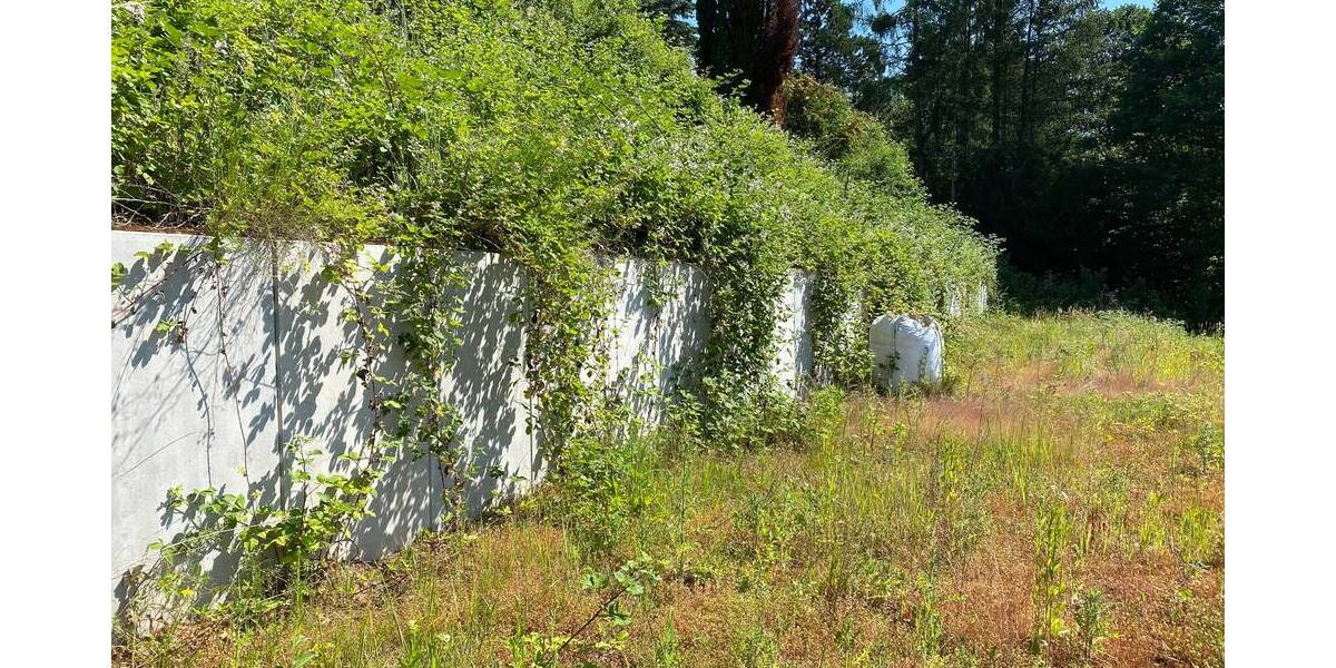 Grundstück Biebergemünd Bieber - 165.000&euro; | Angebot:25740826