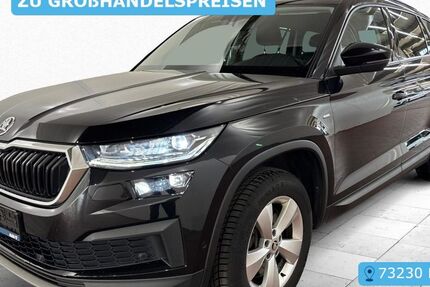 Skoda Kodiaq 133.722 km 24.807 &euro; Frankfurt 60596