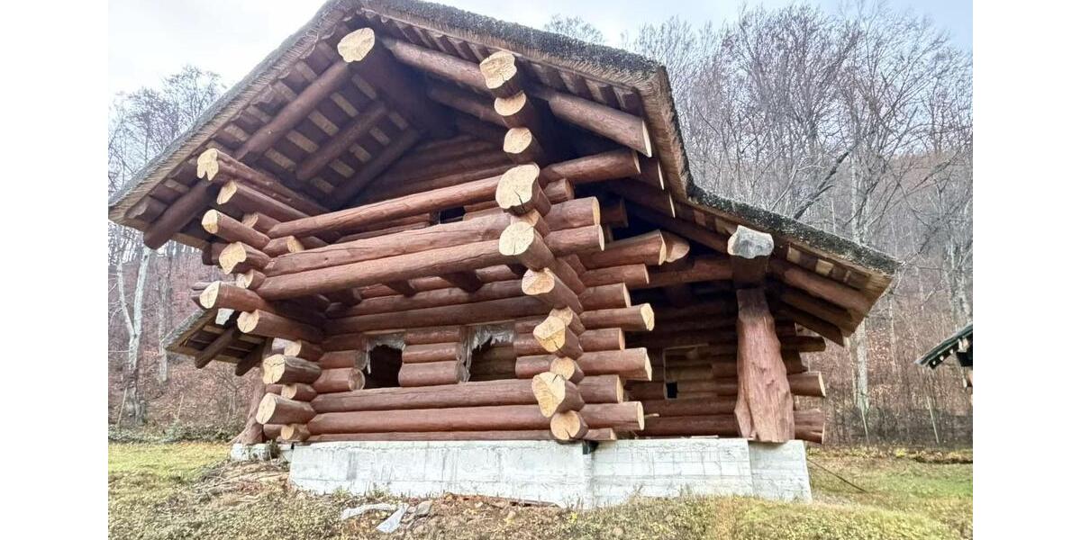 Einfamilienhaus Frankfurt am Main Westend Süd - 155.000&euro; | Angebot:25884216