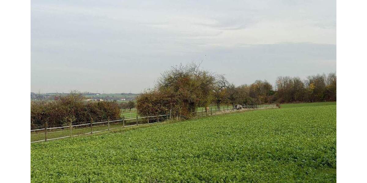 Etagenwohnung Frankfurt Berkersheim - 3 Zimmer, 72 m&sup2;, 299.000&euro; | Angebot:25696464