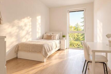 Wohnung Rodenbach - 1 Zimmer, 28 m&sup2;, 600&euro; | Angebot:27533599