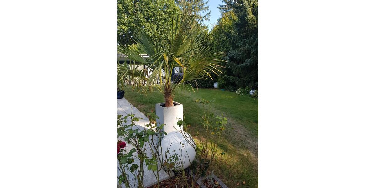 Einfamilienhaus Dreieich - 9 Zimmer, 300 m&sup2;, 4.390&euro; | Angebot:26615670