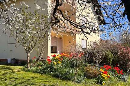 Haus Hanau Kesselstadt - 11 Zimmer, 198 m&sup2;, 779.000&euro; | Angebot:25908834