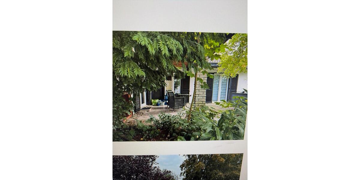 Bungalow Babenhausen - 4 Zimmer, 125 m&sup2;, 388.000&euro; | Angebot:24812577