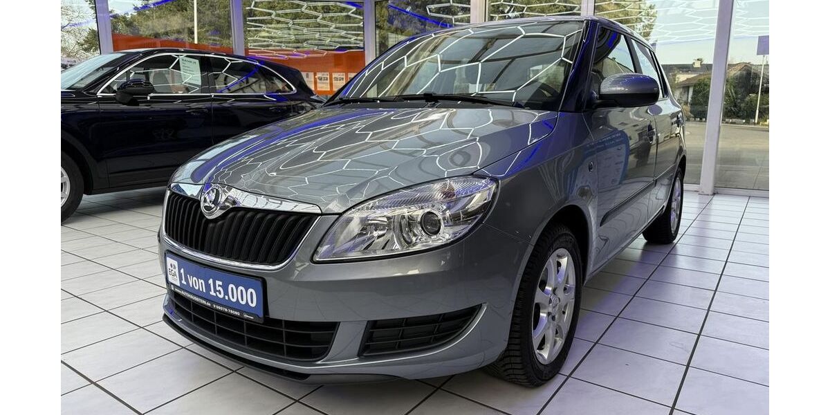 Skoda Fabia 38.821 km 12.490 &euro; Groß-Umstadt 64823